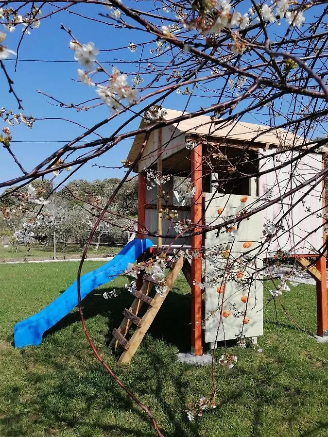 Apartment Karlic 2 Kampor 0*,